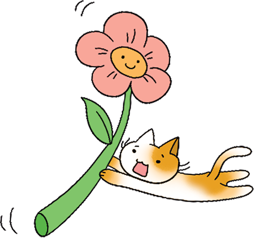 고양이